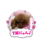 沖ぷー（個別スタンプ：8）