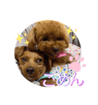 沖ぷー（個別スタンプ：9）