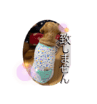 沖ぷー（個別スタンプ：10）