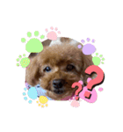 沖ぷー（個別スタンプ：11）