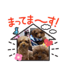 沖ぷー（個別スタンプ：12）