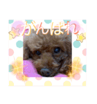 沖ぷー（個別スタンプ：13）
