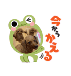 沖ぷー（個別スタンプ：14）