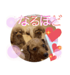 沖ぷー（個別スタンプ：15）