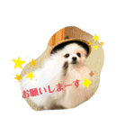 ふわふわすふれ その2（個別スタンプ：1）