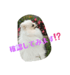 ふわふわすふれ その2（個別スタンプ：2）