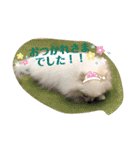 ふわふわすふれ その2（個別スタンプ：3）