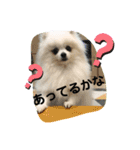 ふわふわすふれ その2（個別スタンプ：8）