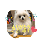 ふわふわすふれ その2（個別スタンプ：9）