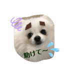 ふわふわすふれ その2（個別スタンプ：10）