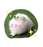 ふわふわすふれ その2（個別スタンプ：11）