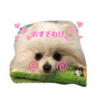 ふわふわすふれ その2（個別スタンプ：13）