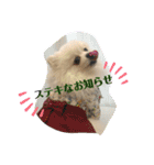 ふわふわすふれ その2（個別スタンプ：14）
