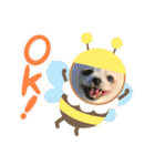ふわふわすふれ その2（個別スタンプ：17）