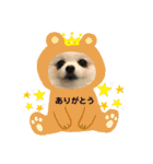 ふわふわすふれ その2（個別スタンプ：22）