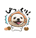ふわふわすふれ その2（個別スタンプ：24）