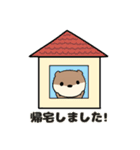 うわめカワウソさん【毎日使えるスタンプ】（個別スタンプ：16）