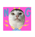 ねこ  ねこ  ねこ（個別スタンプ：9）