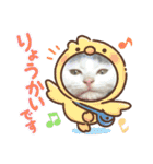ねこ  ねこ  ねこ（個別スタンプ：21）