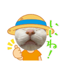 ねこ  ねこ  ねこ（個別スタンプ：28）