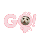 ねこ  ねこ  ねこ（個別スタンプ：31）