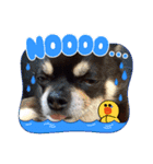 ふんふんのスタンプPart8♡（個別スタンプ：4）