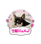 ふんふんのスタンプPart8♡（個別スタンプ：7）