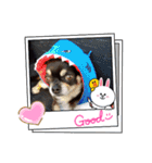 ふんふんのスタンプPart8♡（個別スタンプ：11）