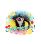 ふんふんのスタンプPart8♡（個別スタンプ：16）