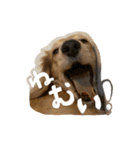 まろちゃびスタンプ（個別スタンプ：1）