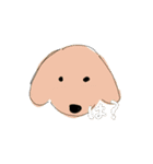 まろちゃびスタンプ（個別スタンプ：33）