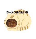 じゃんぜりな仲間（個別スタンプ：24）