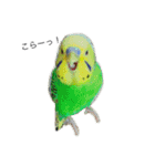 ぱぴこの独り言（個別スタンプ：2）