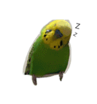 ぱぴこの独り言（個別スタンプ：3）