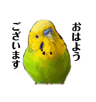 ぱぴこの独り言（個別スタンプ：6）