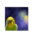 ぱぴこの独り言（個別スタンプ：12）