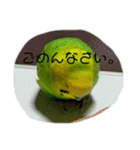 ぱぴこの独り言（個別スタンプ：14）