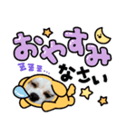 キャバリアのパキラ（個別スタンプ：7）