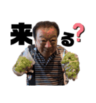 あすかとなおと仲間たち（個別スタンプ：37）
