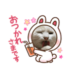 ヨッタン元気ですか〜（個別スタンプ：1）