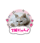 ヨッタン元気ですか〜（個別スタンプ：3）