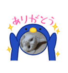 ヨッタン元気ですか〜（個別スタンプ：12）