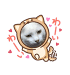 ヨッタン元気ですか〜（個別スタンプ：15）