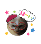 ヨッタン元気ですか〜（個別スタンプ：18）