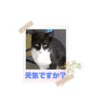 ヨッタン元気ですか〜（個別スタンプ：19）
