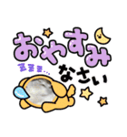 ヨッタン元気ですか〜（個別スタンプ：22）
