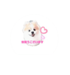 まろまる（個別スタンプ：2）