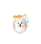 まろまる（個別スタンプ：7）