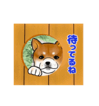 しば犬ですけど。（個別スタンプ：4）