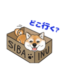 しば犬ですけど。（個別スタンプ：13）